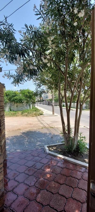 Villa Madani دراس المظهر الخارجي الصورة